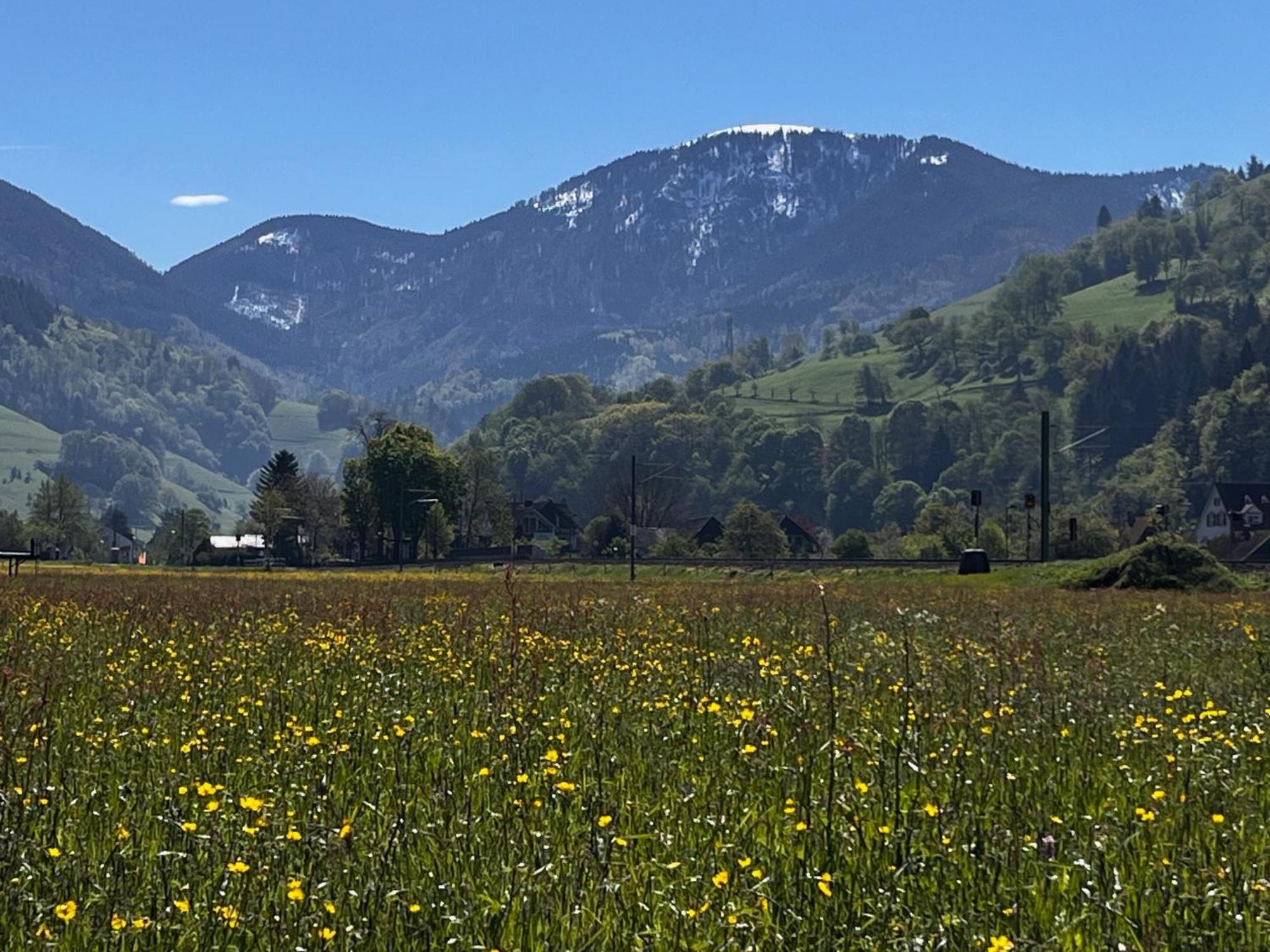 Ferienzimmer Bergblick Münstertal Dış mekan fotoğraf